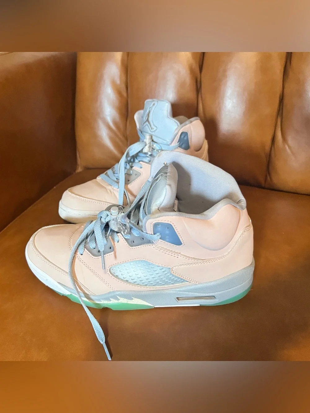 Nike Air Jordan 5 Retro SE 